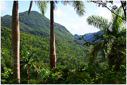 Topes de Collantes