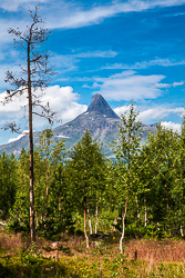 Junkerdalen