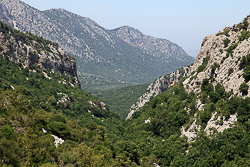 Tiscali
