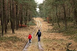 Achterste Schaddenveld