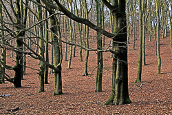 Herikhuizen
